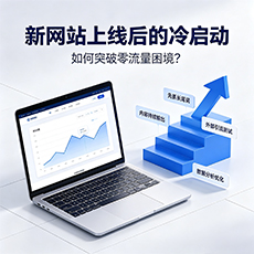 岳阳建站-新网站上线后的冷启动：如何突破零流量困境？