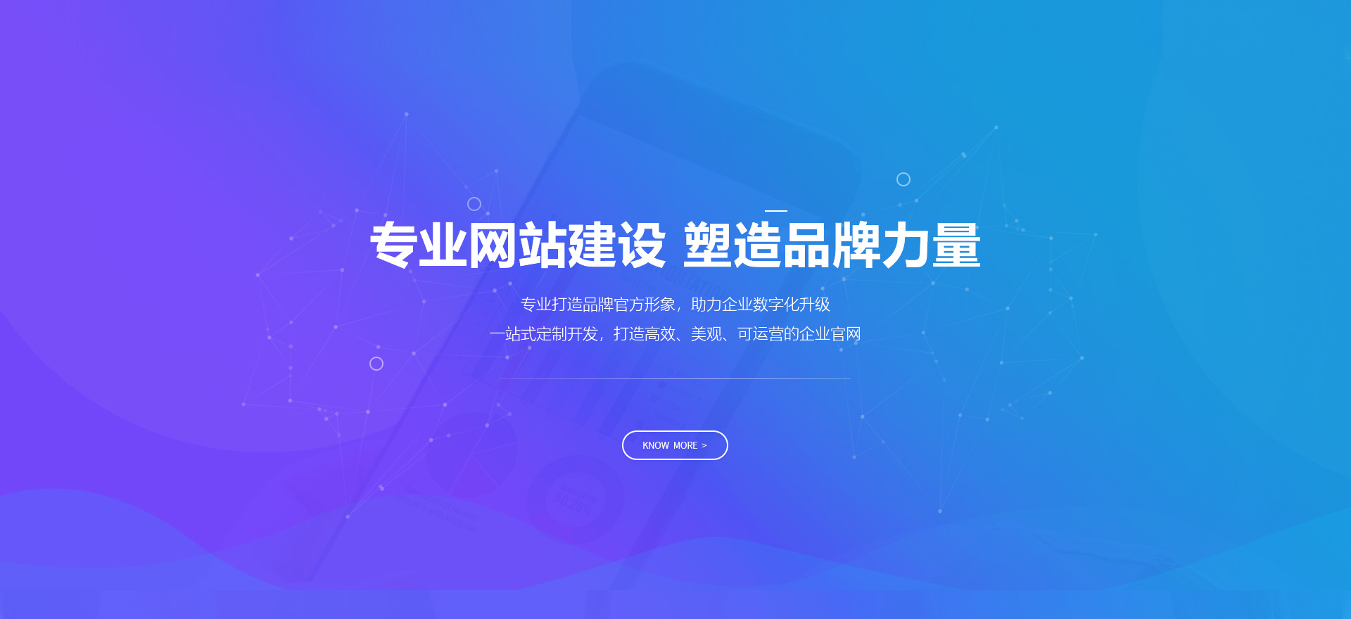 岳阳建站-专业网站建设 塑造品牌力量