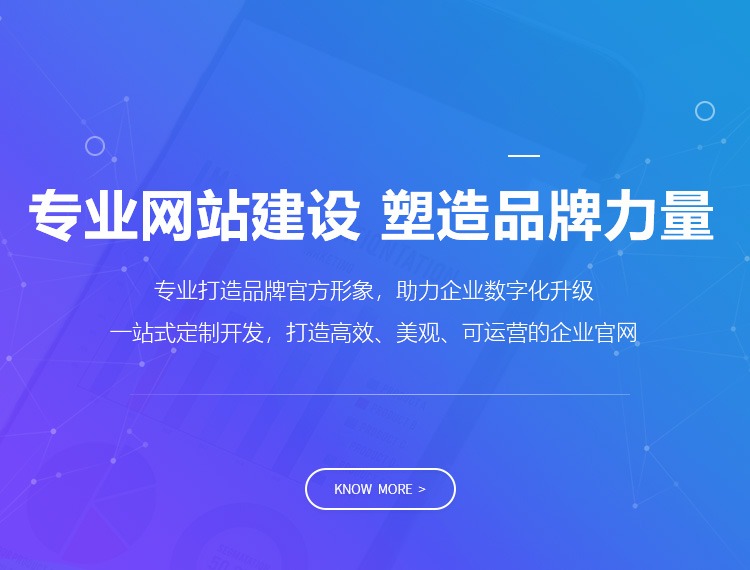 岳阳建站-专业网站建设 塑造品牌力量
